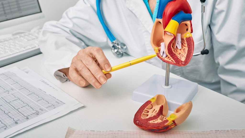 EKG la copii: când este recomandat și ce poate clarifica în evaluarea cardiologică 4 Clinica medicală Renew Institute - Cardiologie pediatrică